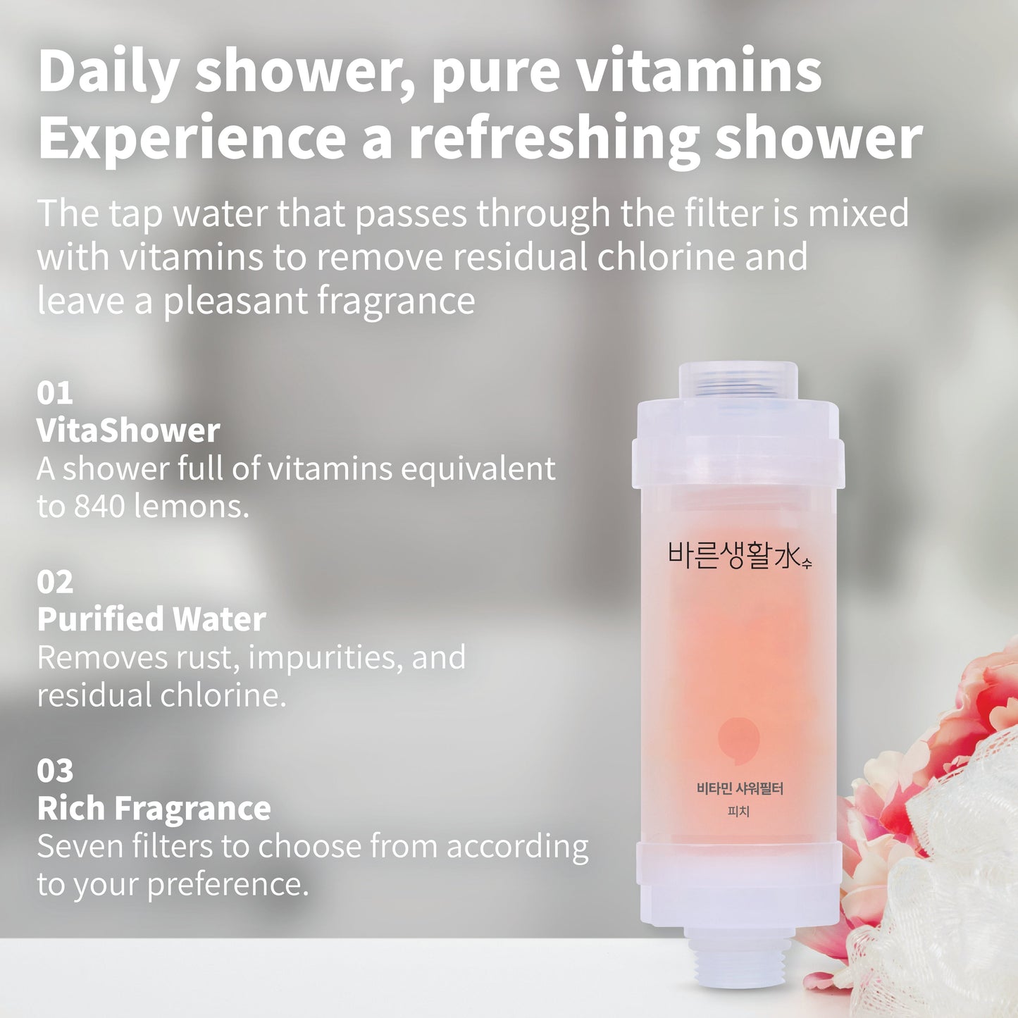 Bareun Soo Korean Shower Filter (Peach)