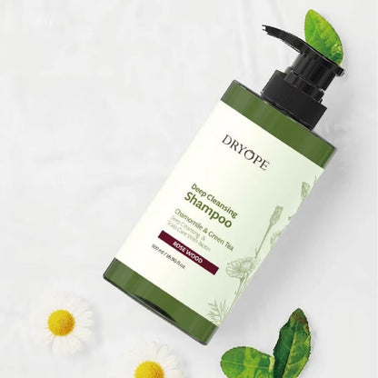DRYOPE Deep Cleansing Shampoo - Rose Wood