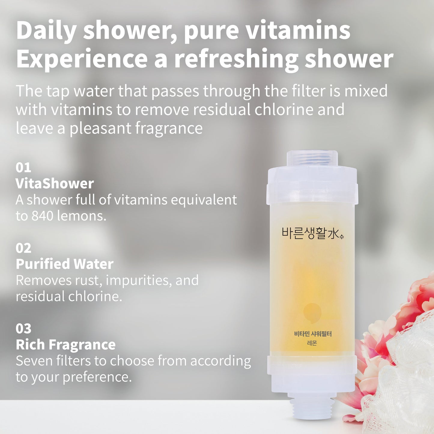 Bareun Soo Korean Shower Filter (Lemon)