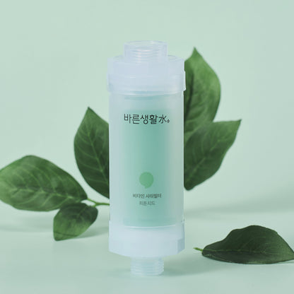 Bareun Soo Korean Shower Filter (Phytoncide)