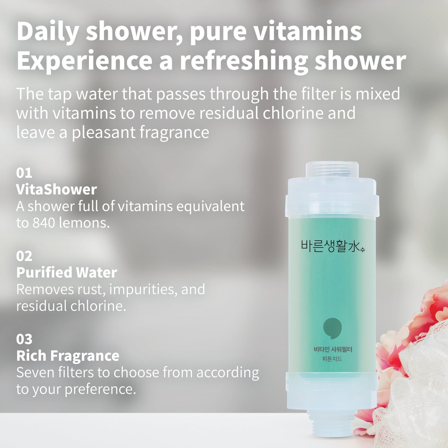 Bareun Soo Korean Shower Filter (Phytoncide)