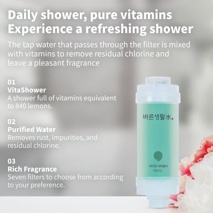 Bareun Soo Korean Shower Filter (Phytoncide)