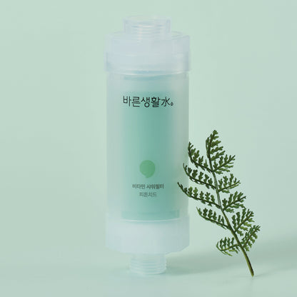 Bareun Soo Korean Shower Filter (Phytoncide)