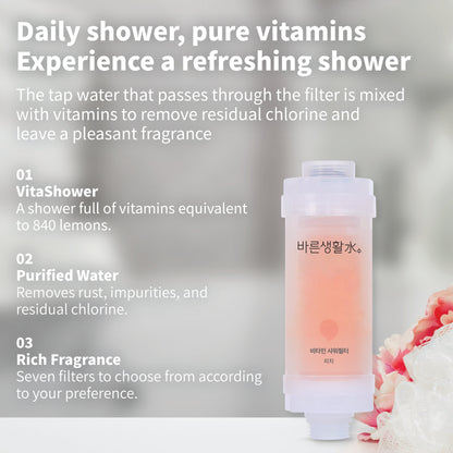 Bareun Soo Korean Shower Filter (Peach)