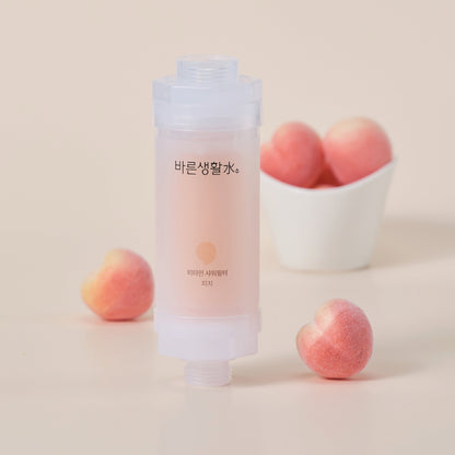 Bareun Soo Korean Shower Filter (Peach)