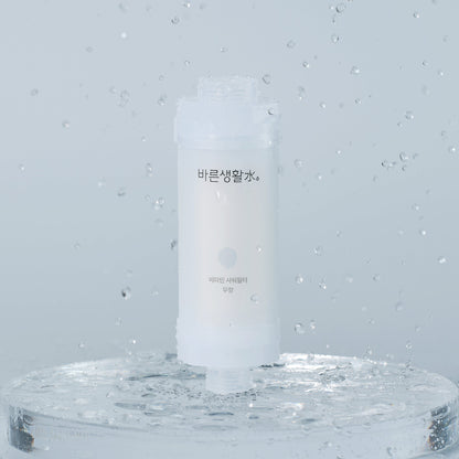 Bareun Soo Korean Shower Filter (Unscented)