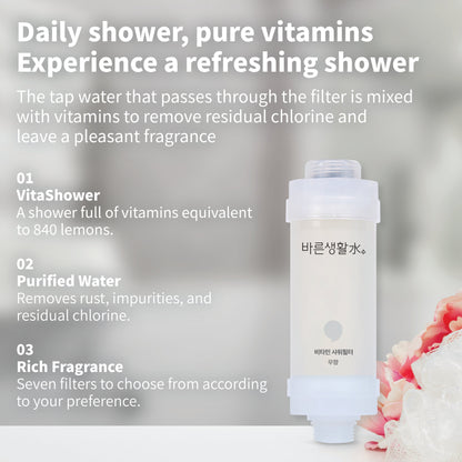 Bareun Soo Korean Shower Filter (Unscented)