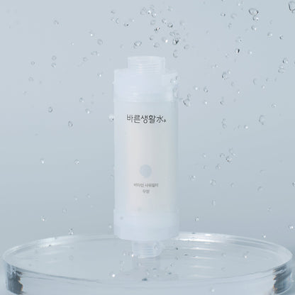 Bareun Soo Korean Shower Filter (Unscented)