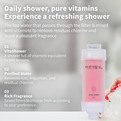 Bareun Soo Korean Shower Filter (Rose)