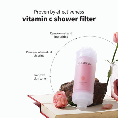 Bareun Soo Korean Shower Filter (Rose)